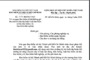 Giả email BHXH TP.HCM tổ chức tập huấn thu phí