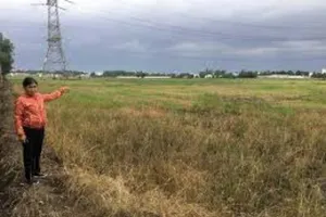 Quy định mới về thời hạn nộp tiền sử dụng đất