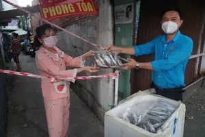 Ngư dân Quảng Bình tặng 500 kg cá cho người dân TP.HCM