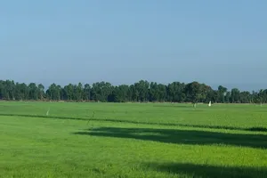 Người có công với cách mạng được miễn tiền sử dụng. Ảnh: NGUYỄN HIỀN