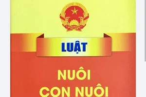 Người nhận con nuôi phải có năng lực hành vi dân sự đầy đủ, hơn con nuôi từ 20 tuổi trở lên. Ảnh: NH