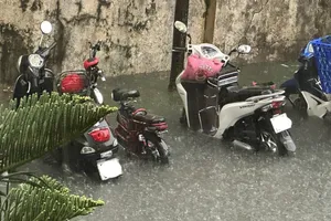 Một công ty dịch vụ công ích nợ 3 năm tiền phí quản lý chung cư