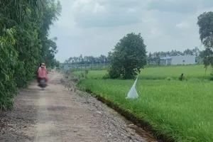 Khi hợp đồng đã công chứng có hiệu lực người nhận tặng cho được cập nhật sang tên chủ sử dụng. Ảnh: NGUYỄN HIỀN