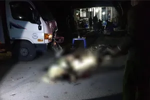 Hai vợ chồng tử vong sau va chạm với xe tải ở Phú Thọ