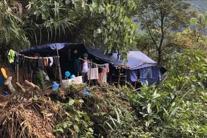 Bắt vụ khai thác vàng trái phép, tạm giữ 1 tấn quặng vàng 