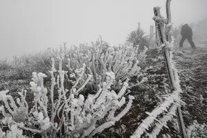 Băng tuyết phủ trắng đỉnh Mẫu Sơn