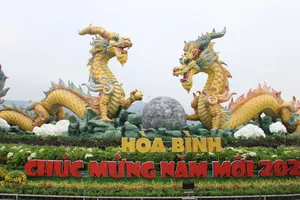 Cận cảnh linh vật rồng 'song long chầu nguyệt' ở Hòa Bình