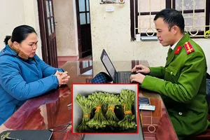 Khởi tố 1 phụ nữ mua bán thuốc phiện tươi số lượng lớn