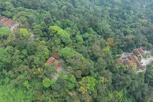 Toàn cảnh đền Hùng trước ngày Giỗ Tổ, đẹp đến nao lòng