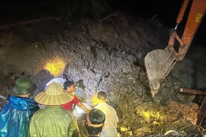 Sạt lở đất ở Bắc Kạn, 4 người trong gia đình tử vong, 1 người bị thương