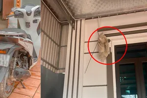 Kẻ xấu cắt khóa, 'bịt mắt' camera giám sát trộm xe SH