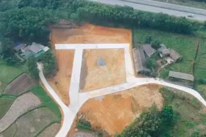 Công an Phú Thọ tìm bị hại trong vụ gom đất nông nghiệp phân lô bán nền