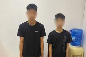 Sau khi xem TikTok, 2 thiếu niên chở nhau đi chặt biển số xe người đi đường 