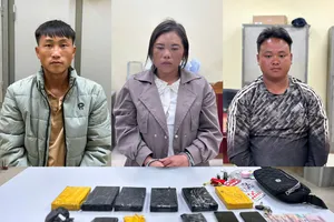 Bắt ba người vận chuyển thuê 6 bánh heroin