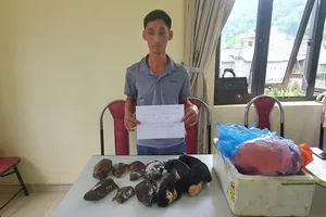 Công an truy bắt 1 phụ nữ cầm đầu đường dây mua bán động vật nguy cấp quý hiếm