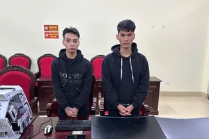 Rủ làm Tiktok kiếm tiền, 2 thanh niên lừa gần 4 tỉ đồng của một phụ nữ