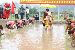 Tái hiện truyền thuyết Vua Hùng dạy dân cấy lúa