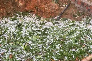 Một người bị thương, nhiều nhà bị hư hại do mưa đá ở Sơn La