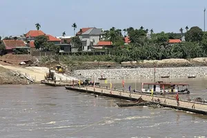 Phú Thọ: Tạm dừng hoạt động cầu phao Phong Châu