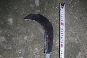 Tạm giữ hình sự nghi phạm sát hại mẹ vợ