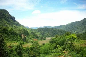 Người dân báo tin nhìn thấy hổ, chính quyền vào cuộc xác minh