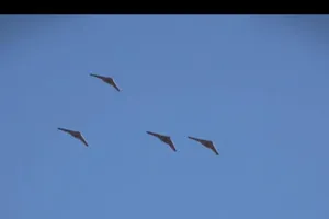 Mỹ và Israel dự tính thiết lập vùng cấm bay với các thiết bị máy bay không người lái của Iran ở khu vực Trung Đông.