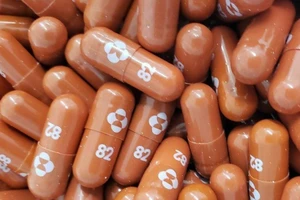 Những viên thuốc trị COVID-19 Molnupiravir do hãng dược Mỹ Merck sản xuất.