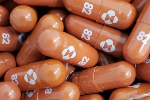 Những viên thuốc molnupiravir dùng để điều trị COVID-19 do Merck phát triển được chụp vào ngày 17-5-2021.
