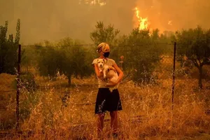 Cháy rừng tại ngôi làng Pefki trên đảo Evia (hòn đảo lớn thứ hai của Hy Lạp) vào tháng 8 trong đợt nắng nóng tồi tệ nhất ở đây.