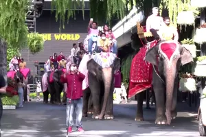 Hơn 70 cặp đôi đã cùng tổ chức lễ cưới tập thể trên lưng voi tại Thái Lan nhân dịp lễ Tình nhân 14-2.