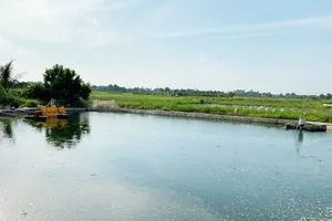 Nghi khi cứu cháu đuối nước, hai ông cháu tử vong