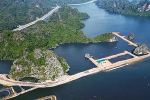Nóng: Tạm dừng thi công dự án lấn vùng đệm vịnh Hạ Long gây xôn xao dư luận