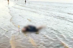 Ba người ở Thái Bình mất tích khi đi bắt ngao 