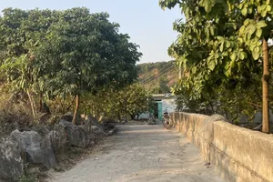 Phát hiện hài cốt nghi nữ giới trong bể nước bỏ hoang