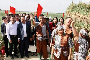 Độc đáo cuộc thi thu hoạch hành, tỏi ở ‘thủ phủ’ hành, tỏi Hải Dương