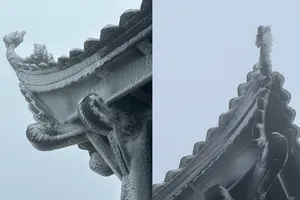 Rét đậm, đỉnh Yên Tử bao phủ bởi băng giá