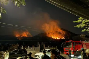 Gần 200 người được huy động khống chế đám cháy rừng ở Hải Phòng