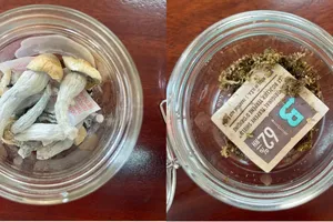 Ma tuý ‘nấm thần’ lần đầu xuất hiện ở Quảng Ninh