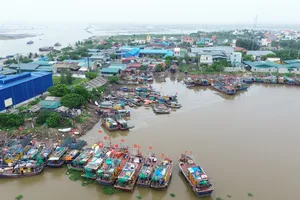 Bão số 2: Nhiều tỉnh cấm biển, bắn pháo sáng gọi tàu thuyền trú tránh