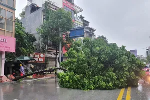 Bão số 2 suy yếu thành áp thấp nhiệt đới