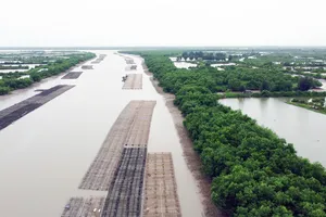 Thái Bình chính thức công bố ranh giới Khu Bảo tồn thiên nhiên đất ngập nước Tiền Hải