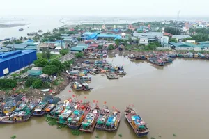 Bão số 3 mạnh thành cuồng phong, Thái Bình dự kiến cấm biển từ sáng 6-9