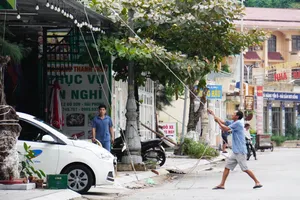 Biển Đồ Sơn vắng lặng, các nhà hàng hối hả chuẩn bị ứng phó siêu bão số 3