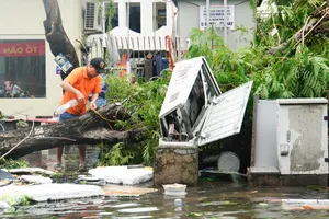 Hải Phòng tập trung mọi nguồn lực khắc phục hậu quả bão số 3