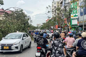 Cây xanh vẫn la liệt trên phố sau bão số 3, Hải Phòng huy động tổng lực dọn dẹp