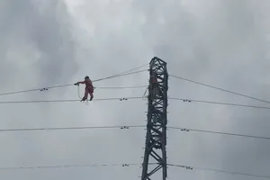 Khắc phục lưới điện không hiệu quả, Giám đốc Điện lực Hạ Long bị đình chỉ 