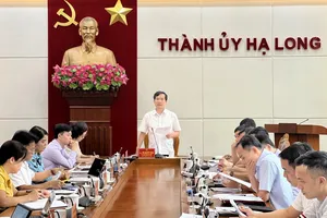 Giám đốc Ban quản lý dự án đầu tư xây dựng Hạ Long bị tạm đình chỉ công tác