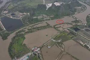 Phá đường dây khai thác cát trái phép quy mô lớn ở Quảng Ninh