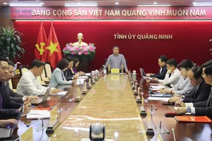 Quảng Ninh tạm dừng tuyển dụng, bổ nhiệm cán bộ cấp huyện