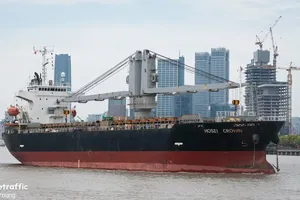 Tàu quốc tịch Panama đâm chìm tàu cá Việt Nam, 4 ngư dân thiệt mạng